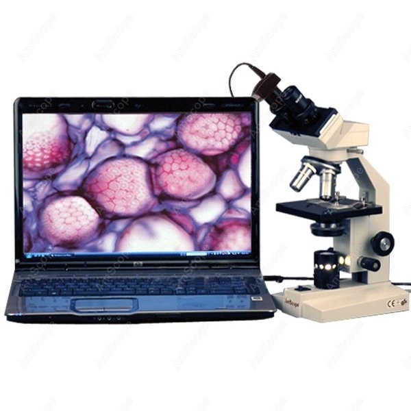 Amscope Microscope Compound 40X-1000X - AmScope B100 Serie Biologische Binoculaire Samengestelde