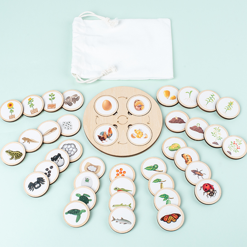 Science Nature - Levenscyclusbord Montessori Kit Biologie Wetenschapsonderwijs voor