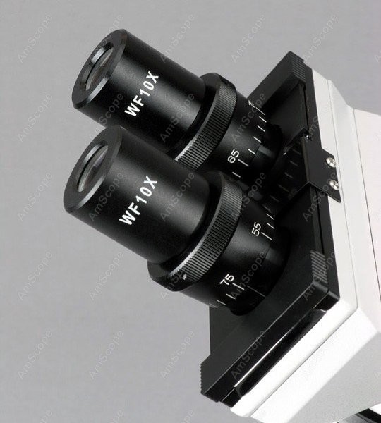 AmScope B100 Serie Biologische - Amscope Microscope Compound 40X-1000X recensie en prijs
