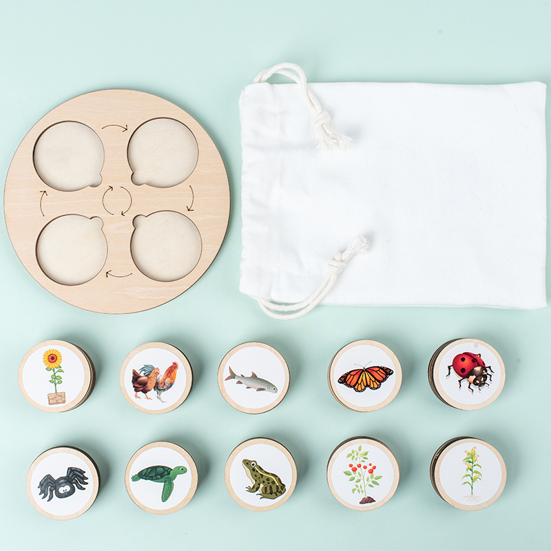 Levenscyclusbord Montessori Ki - Science Nature recensie en prijs
